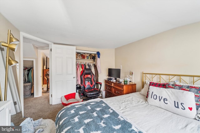 bedroom featuring a closet and carpet floors