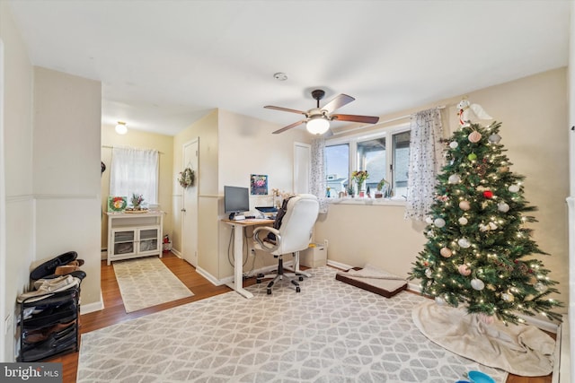 office space with hardwood / wood-style floors and ceiling fan