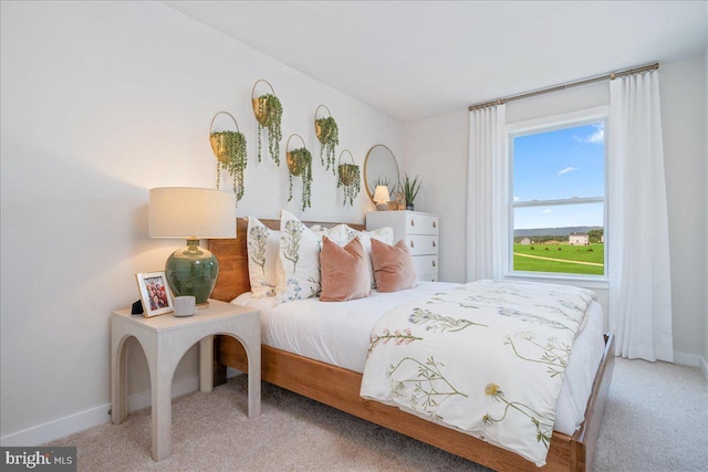 bedroom with carpet