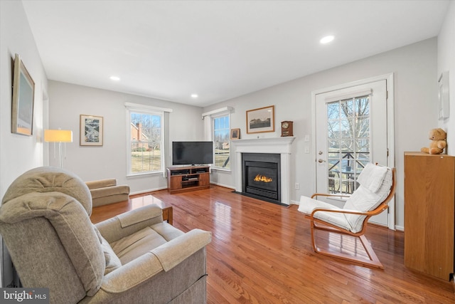 living room featuring hardwood / wood-style floors