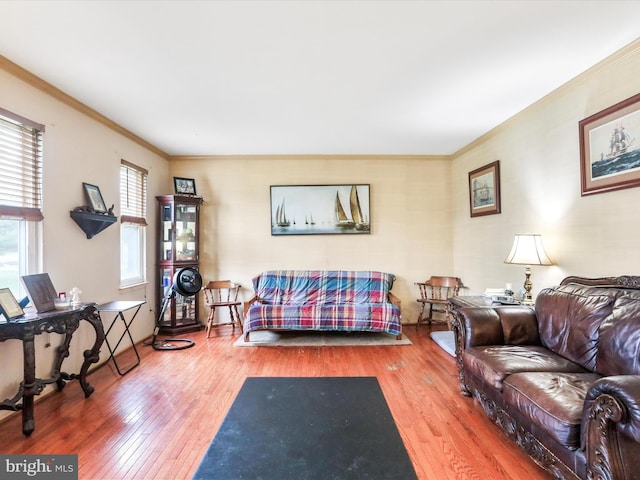 living room featuring hardwood / wood-style floors and crown molding