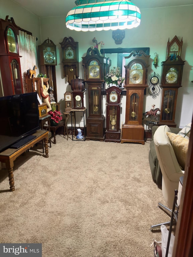 sitting room featuring carpet flooring