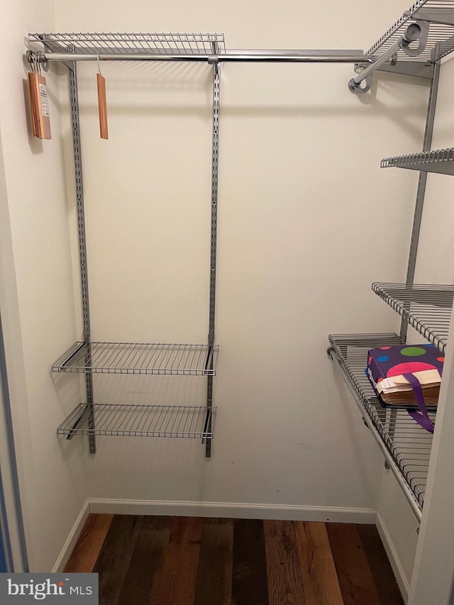 spacious closet with dark wood-type flooring