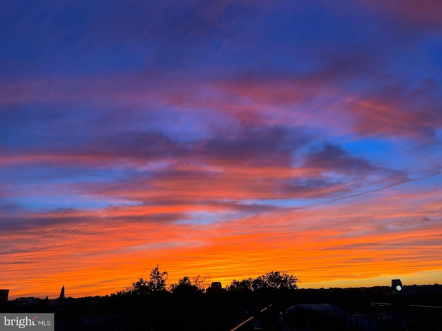 view of nature at dusk