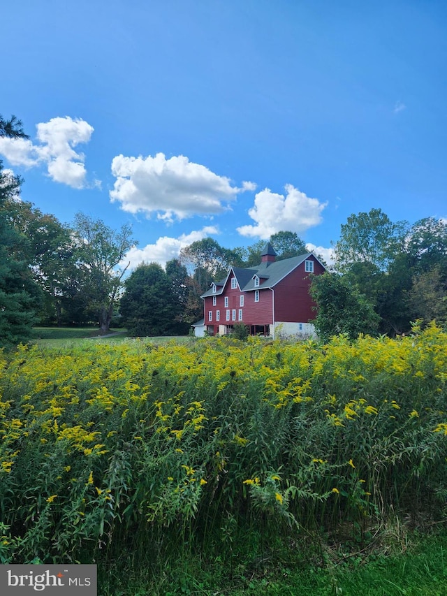 view of yard featuring a rural view