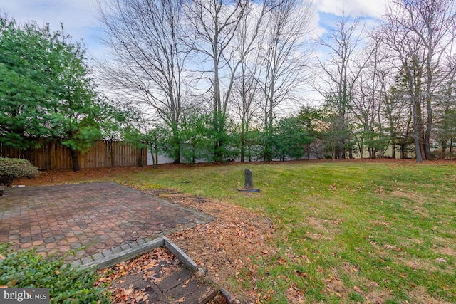 view of yard with a patio