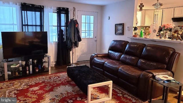 living room featuring dark hardwood / wood-style flooring