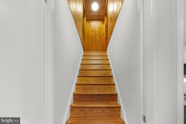 stairs with hardwood / wood-style flooring