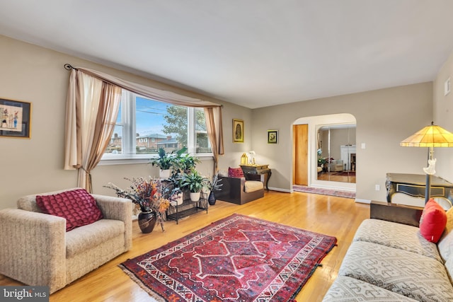 living room with wood-type flooring