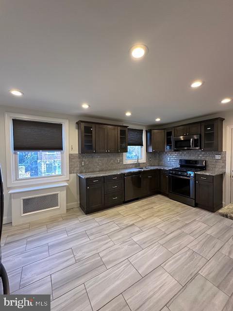 kitchen with a wealth of natural light, dark brown cabinets, and stainless steel appliances