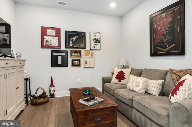 living room featuring hardwood / wood-style floors