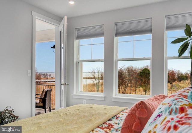 bedroom with multiple windows