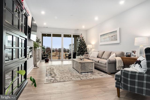 living room featuring hardwood / wood-style floors