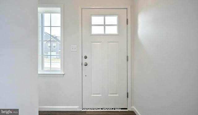 entryway with dark hardwood / wood-style flooring and a wealth of natural light