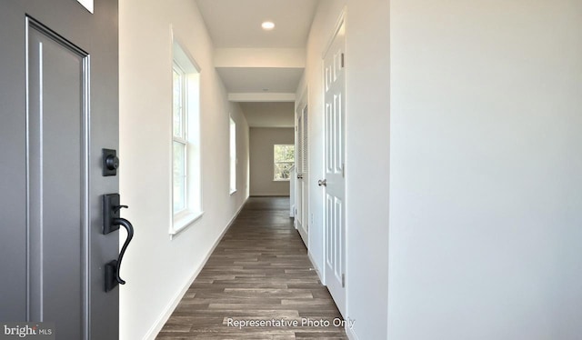 hallway featuring dark wood-type flooring