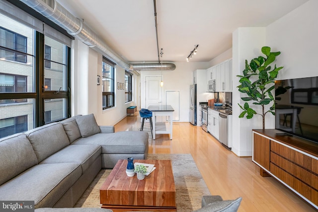 living area featuring light wood-style floors and rail lighting