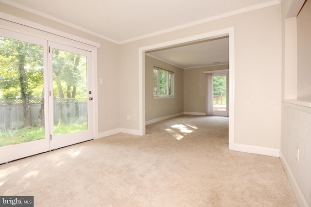 unfurnished room with crown molding and light carpet