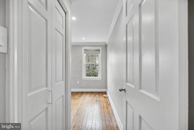 hallway featuring wood-type flooring and crown molding