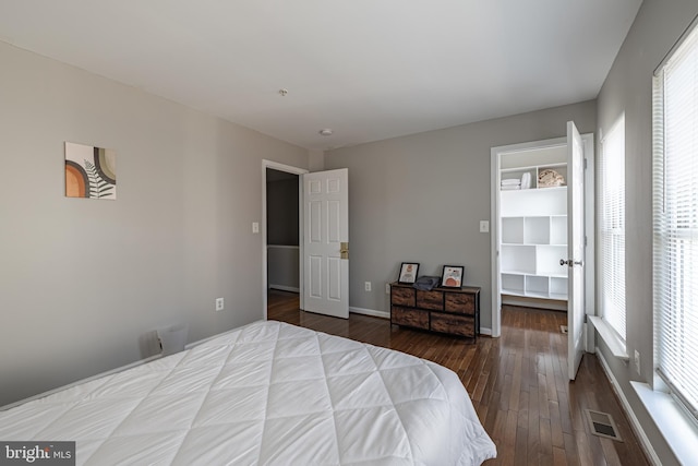 bedroom with multiple windows, hardwood / wood-style floors, and a spacious closet