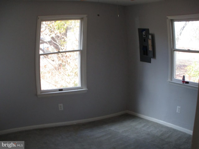 carpeted spare room with electric panel and a healthy amount of sunlight