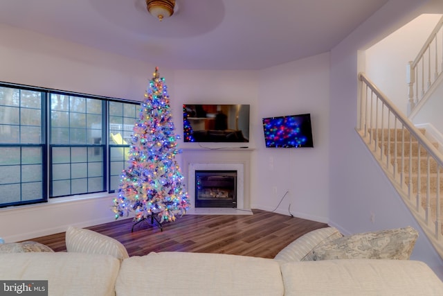 living room with hardwood / wood-style flooring