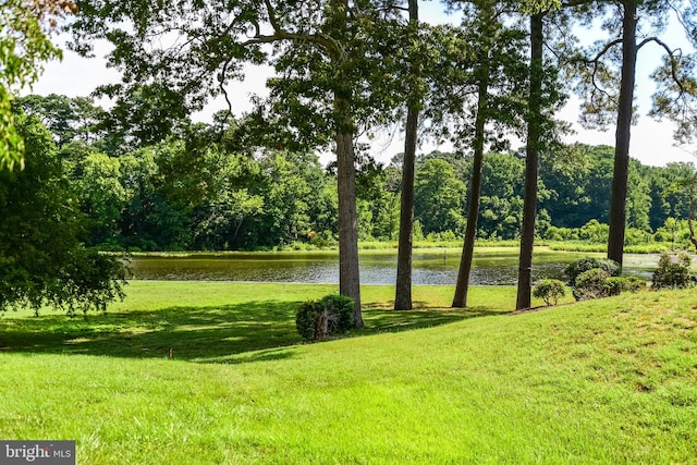 view of community with a lawn and a water view