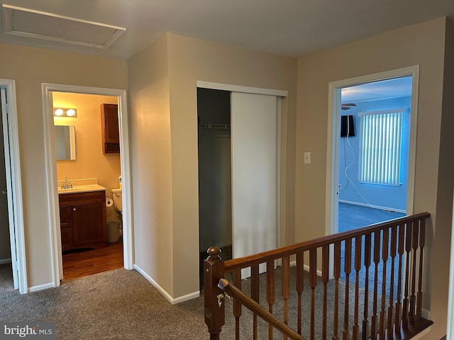 hallway with sink and carpet floors