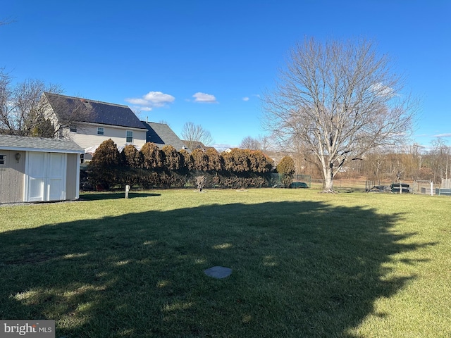 view of yard featuring a storage shed