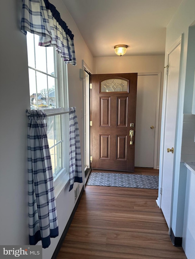 foyer entrance featuring dark hardwood / wood-style flooring