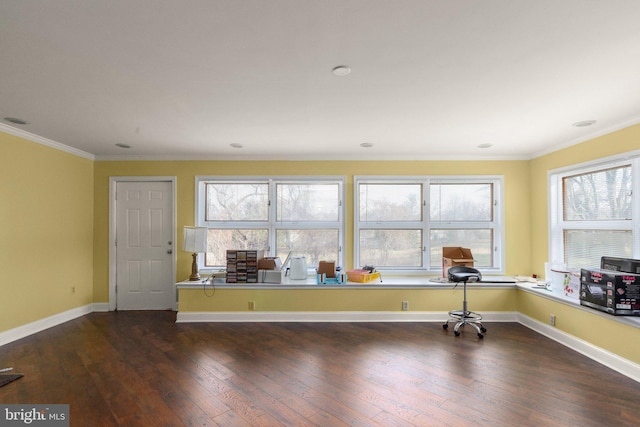 unfurnished office featuring crown molding and dark wood-type flooring