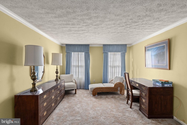 interior space featuring a textured ceiling and crown molding