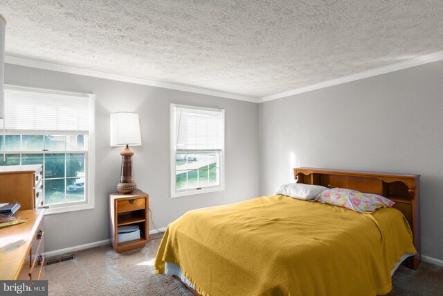 carpeted bedroom featuring a textured ceiling and multiple windows