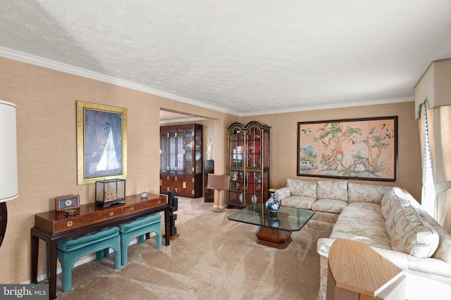 living room featuring light carpet, crown molding, and a textured ceiling