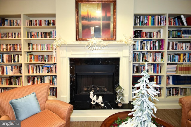 living area with a premium fireplace