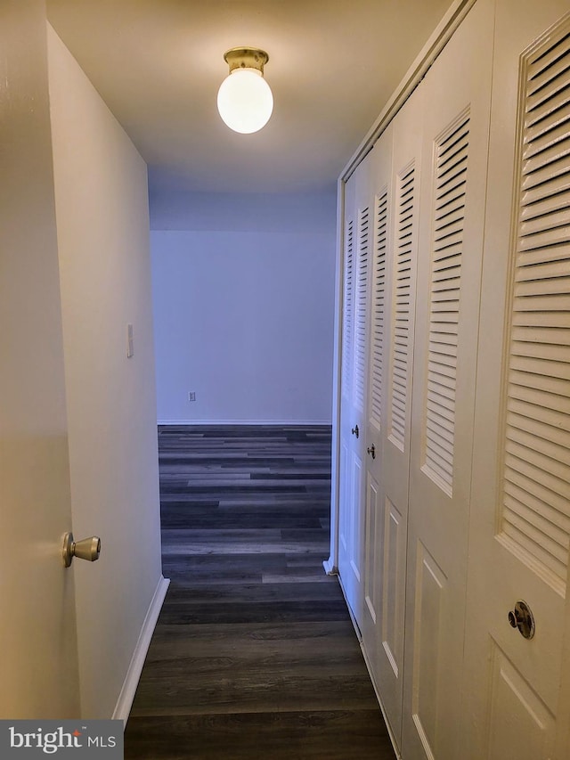 hallway featuring dark wood-type flooring