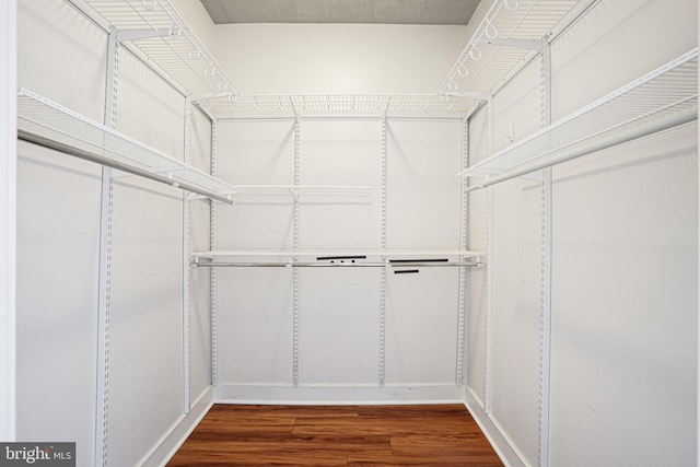 walk in closet featuring dark hardwood / wood-style flooring