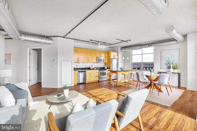 living room with light hardwood / wood-style flooring