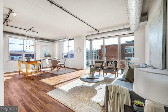 living room with hardwood / wood-style floors