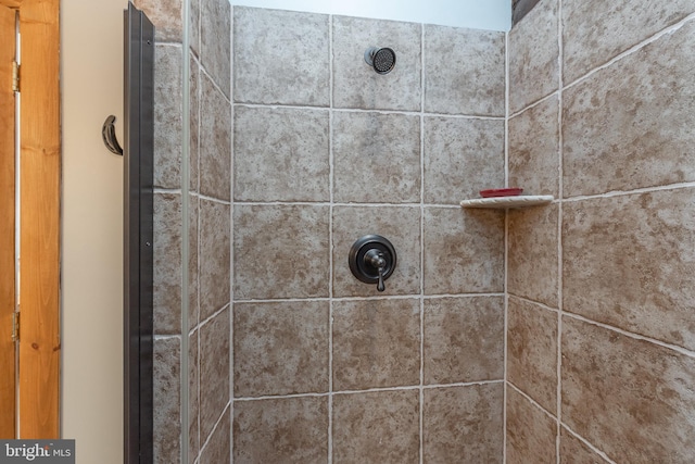 room details featuring tiled shower