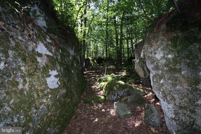 219 Mountaintop Rd, Mc Henry, MD 21541 - view of wooded area
