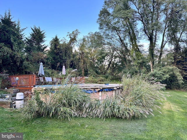 view of yard with a pool side deck