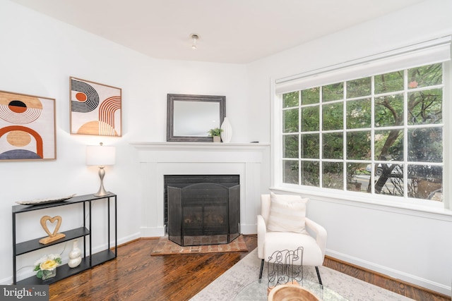 sitting room featuring hardwood / wood-style floors