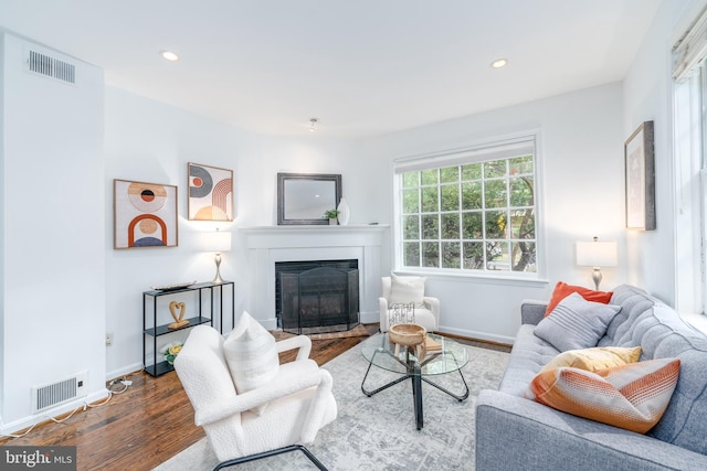 living room featuring hardwood / wood-style flooring