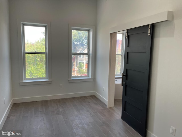 entryway with hardwood / wood-style flooring and a wealth of natural light