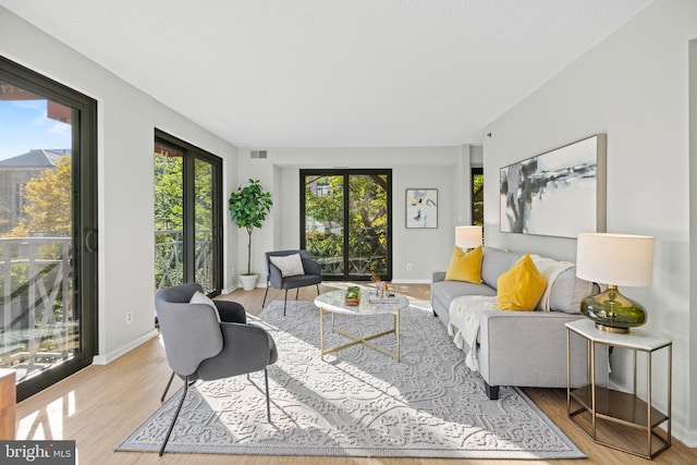 living room featuring light wood-type flooring