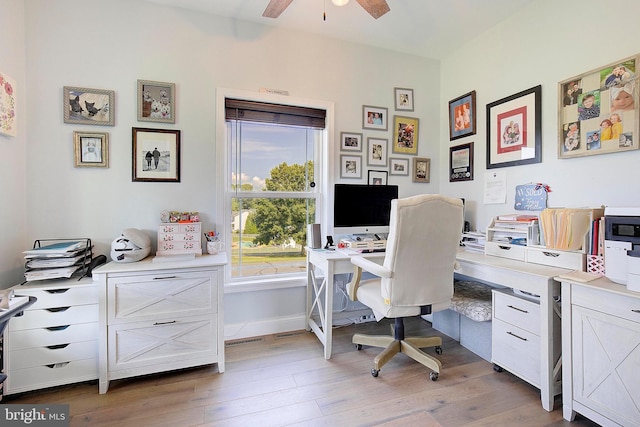 office area featuring ceiling fan and light hardwood / wood-style floors