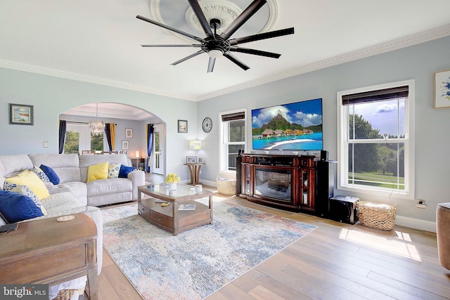 living room with ornamental molding, ceiling fan with notable chandelier, light hardwood / wood-style floors, and a healthy amount of sunlight