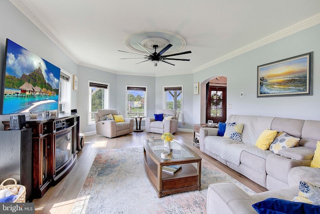 living room featuring ceiling fan, crown molding, and light hardwood / wood-style flooring