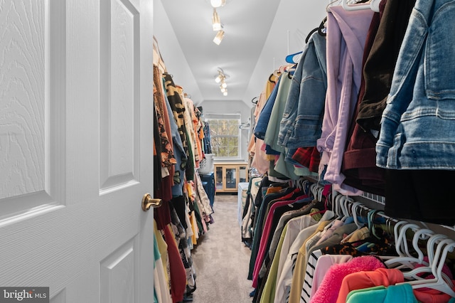 walk in closet with carpet flooring