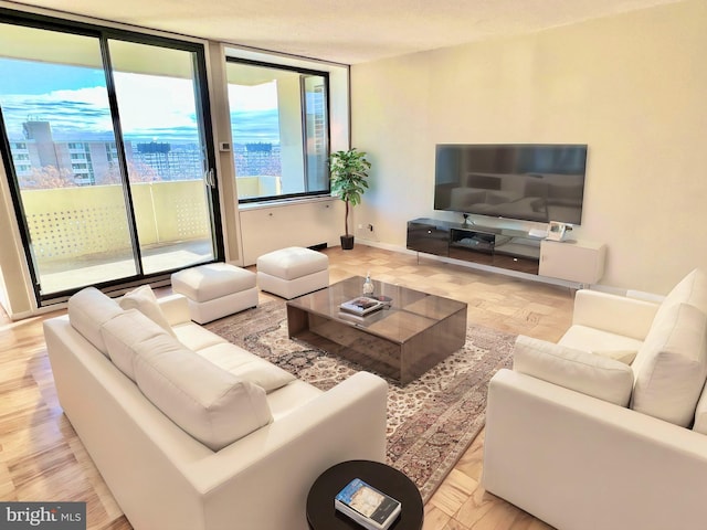 living room featuring floor to ceiling windows and light hardwood / wood-style floors